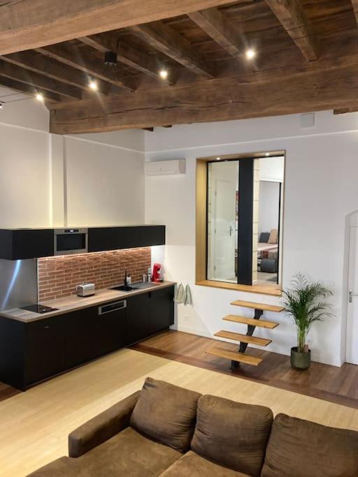 Appartement Centre Historique Albi Ngoại thất bức ảnh