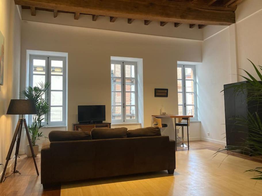 Appartement Centre Historique Albi Ngoại thất bức ảnh